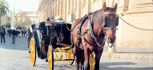 Caballo