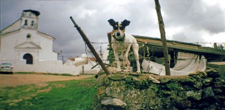 Prueba